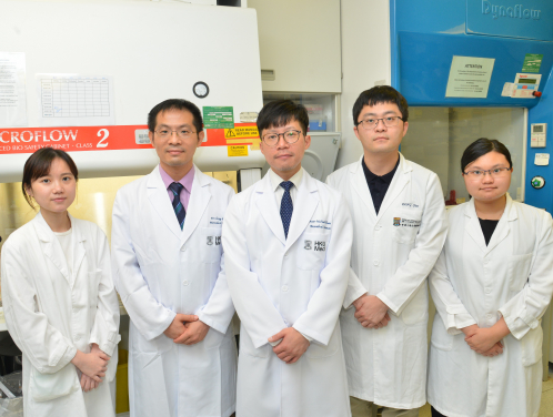 Professor Michael Huen Shing-yan, School of Biomedical Sciences and Assistant Dean (Innovation and Technology), HKUMed (middle); Dr Yu Cheng-han, Assistant Professor, School of Biomedical Sciences, HKUMed (2nd left); PhD students: Mr Dong Chao (2nd right), Ms Tan Xin-yi (1st left) and Ms Li Jun-shi (1st right) of the Michael Huen Laboratory, School of Biomedical Sciences, HKUMed.
 